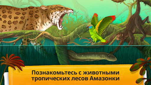 Как устроен организм животных?