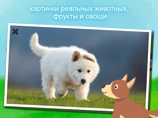 Животные - игра для малышей
