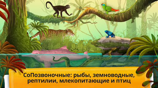 Как устроен организм животных?